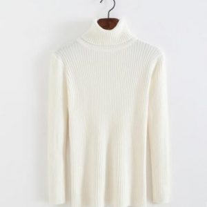 Thick Turtleneck Warm Women Sweater Autumn Winter Knitted Femme Pull High Elasticity Soft Female Pullovers Sweater