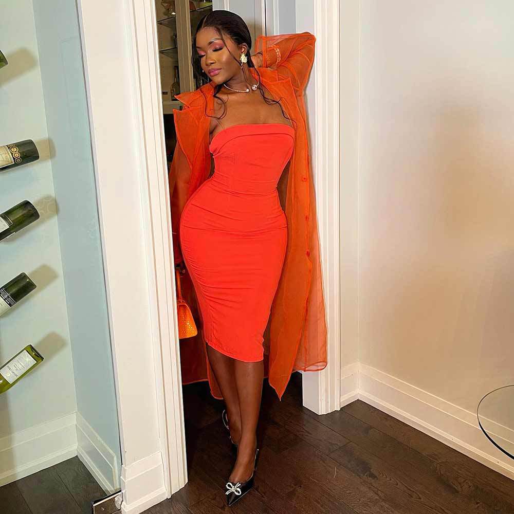 Women's Spring and Autumn Sexy Organza Long Sleeve Single Breasted Long Dress - Image 4