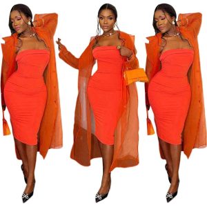 Women's Spring and Autumn Sexy Organza Long Sleeve Single Breasted Long Dress