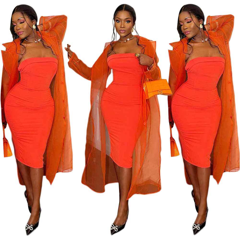 Women's Spring and Autumn Sexy Organza Long Sleeve Single Breasted Long Dress